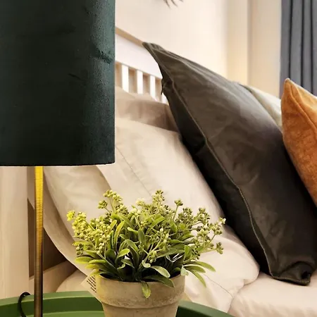 The Oasis Apartment