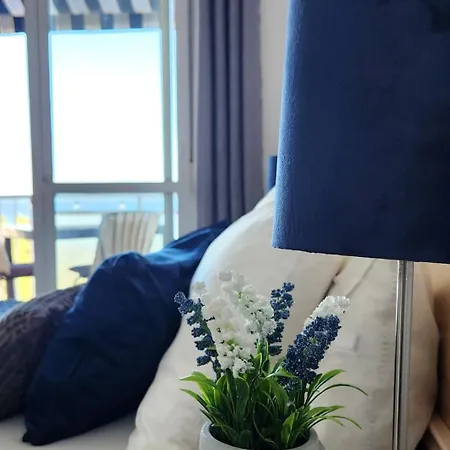 The Oasis Τορρεμολίνος