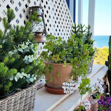 Lejlighed The Oasis Torremolinos