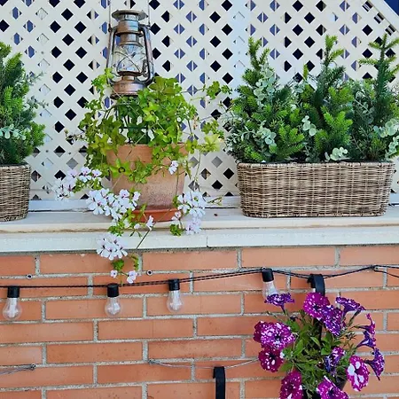 The Oasis Apartamento