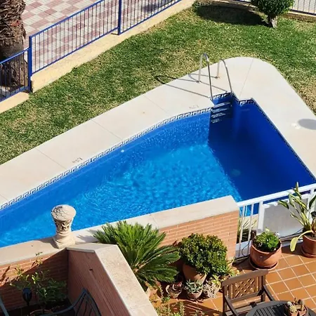 The Oasis *
