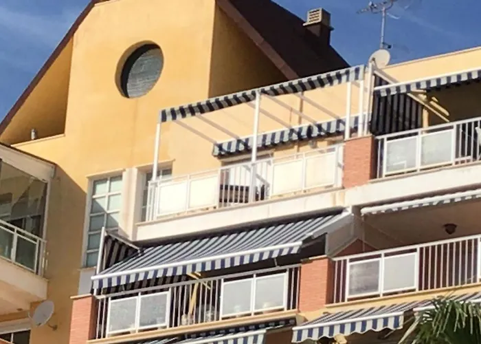 The Oasis Apartamento