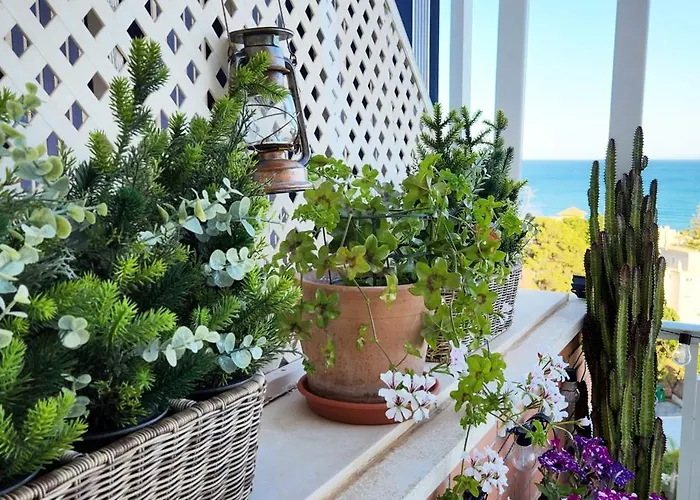 Lejlighed The Oasis Torremolinos